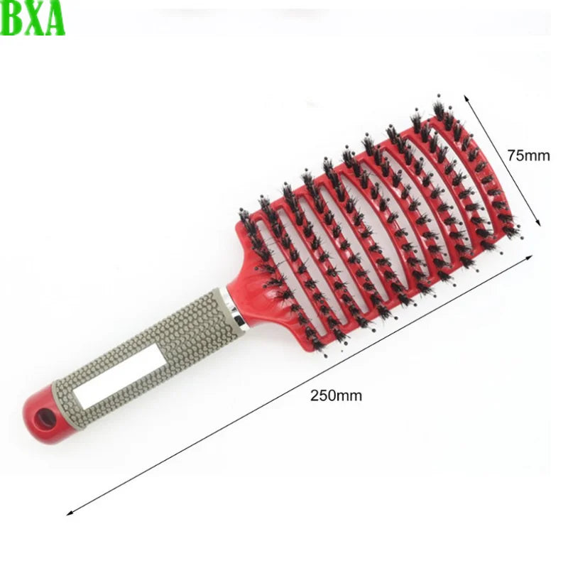 Multicolor Scalp Massage Comb  Bristle Nylon Women Wet Curly Detangle Hairbrush 1PCS