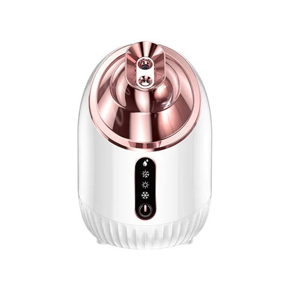 New Face Steamer Cold Hot Warm Double Spray Household Face Cleaning Beauty Salon Spray Hot Sprayer Makeup Face Steamer