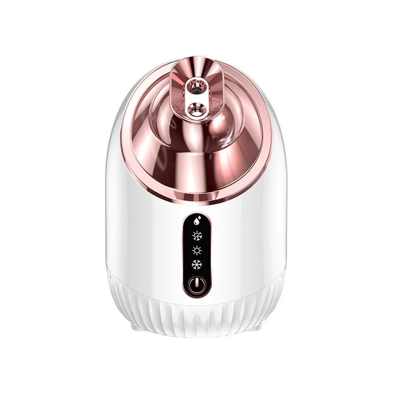 New Face Steamer Cold Hot Warm Double Spray Household Face Cleaning Beauty Salon Spray Hot Sprayer Makeup Face Steamer