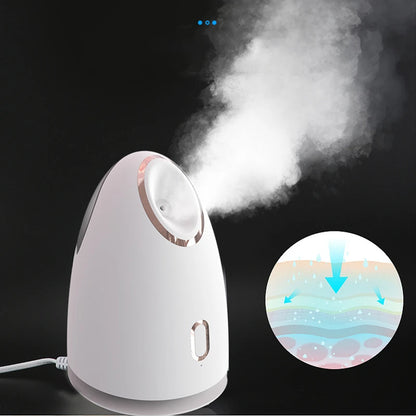 NEW 150mL Large Facial Steamer Hot Nano Spray Facial Moisturizing Skin Care Humidifier Nano Facial Spray Facial Spa Spray