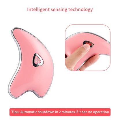 Face Guasha Massager Micro-current Skin Lifting & Firming Machine Wrinkle Removal Facial Scraping Skin Care Beautiful Container